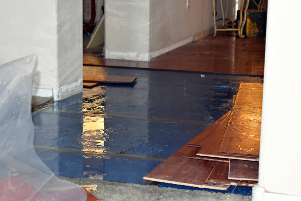 Professional Burst Pipe Cleanup technician working in Portland, ME